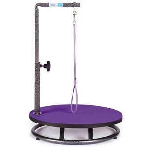 Master Equipment Small Pet Grooming Table 18in Pur - 1 of 4