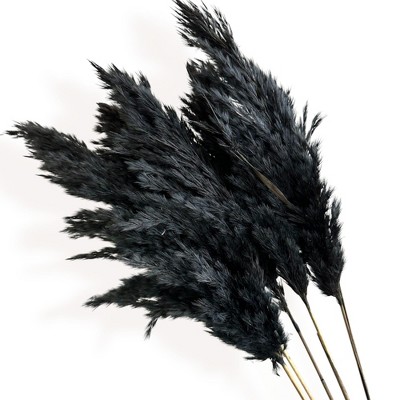 Alilang Decorative Dried Tall Grass Stems for Home Decoration and Floral Arrangements, 27.5 Inches