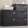 Vynxaria Black 2-Drawer Metal File Cabinet - Secure Utility Storage Cabinets with Locking System - 3 of 4