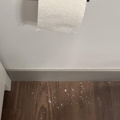 Guest review image 1 of 1, zoom in