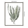 Amanti Art Seaweed 2 Blue Large by Fab Funky Wood Framed Wall Art Print - 3 of 4