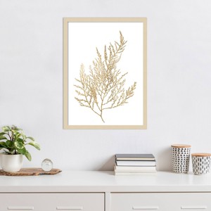Amanti Art Neutral Algae II by Jennifer Goldberger Wood Framed Wall Art Print - 1 of 4