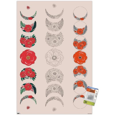 clear push pins bundle