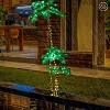 LIGHTSHARE Solar Lighted Triple Trunk Palm Tree LED Outdoor Light Stakes Green - 2 of 4
