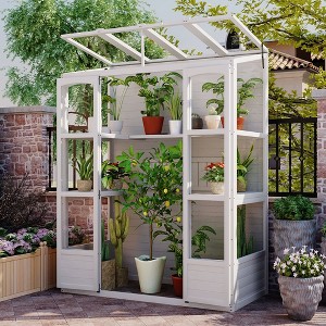78" Walk-in Wooden Greenhouse With 4 Independent Ventilation Skylights And 2 Folding Middle Shelves, Outdoor Greenhouse - 1 of 4