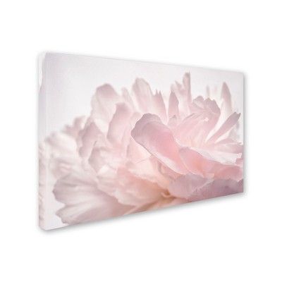 Trademark Fine Art -Cora Niele 'Pink Peony Petals V' Canvas Art