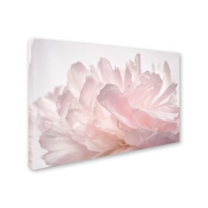 Trademark Fine Art -Cora Niele 'Pink Peony Petals V' Canvas Art - 1 of 3