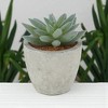 Unique Bargains Artificial Plants Pulp Planter Plastic Flesh 2.44"x2.44"x3.35" 1Pc - 2 of 4