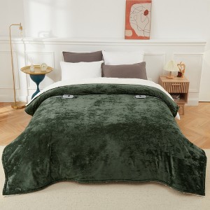 Heated Blanket Electric Throw 50" x 60", Ultra Soft Velvet, Fast Heating with 4 Heat Settings & 4-Hour Auto-Off, Machine Washable, ETL Certified - 1 of 4