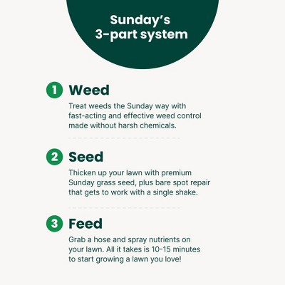 Sunday 32oz Weed Warrior Herbicide Spot Treatment