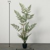 Sullivans Artificial High Potted Fiddlehead Fern 60"H; Green - 4 of 4