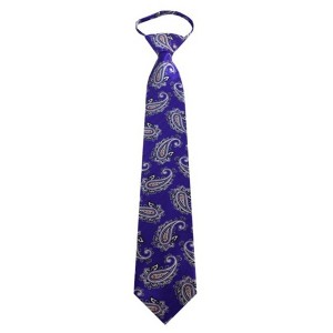 Men's Paisley 3.25 Inch W And 20 Inch L Zipper Neckties - 1 of 3