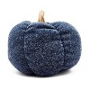 TopComfy Decorative Object Polka Dot Pumpkin Set Stylish Fall Decor for Harvest Festival Display, Blue, 12"*10"*8" - 3 of 4
