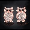 Hoot Owl Stud Earrings Rose Gold Plated Cz Teacher Women Ginger Lyne Collection - 4 of 4