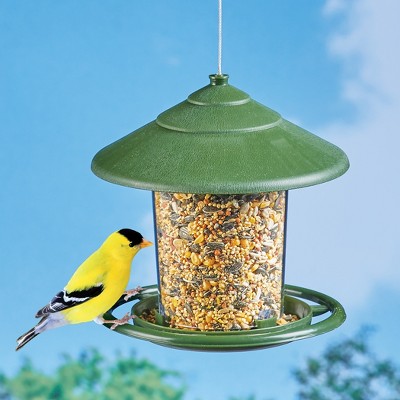 Green Plastic Hanging Birdfeeder with Metal Drainage Holes