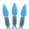 Novelty Lights True Twinkle (100% Twinkle) C6 LED Christmas String Lights 70 Strawberry Bulbs, 24 Feet - 3 of 4