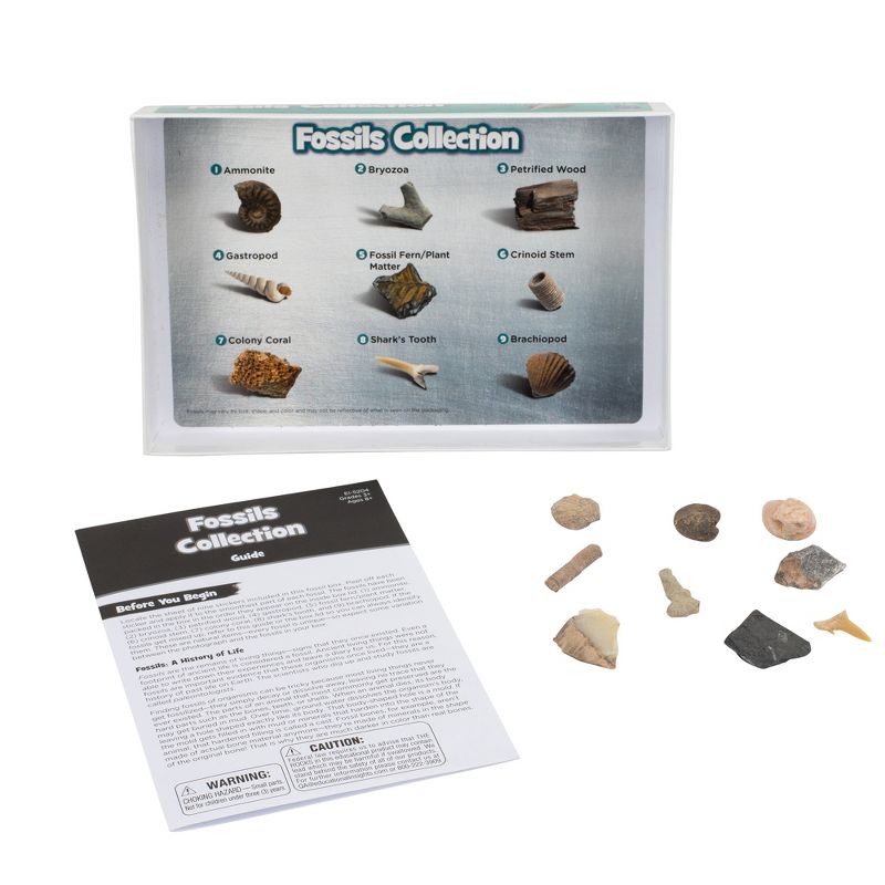 Educational Insights Complete Rock, Mineral & Fossils Collection, 3 of 8