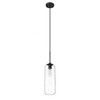 Z-Lite Monty 1 - Light Pendant in  Matte Black - 3 of 4