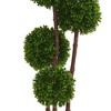 4ft Boxwood Artificial Topiary Tree In Planter - Nearly Natural - 2 of 3