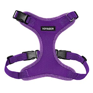 Voyager Step-In Lock Adjustable Dog & Cat Harness for All Breeds, Breathable Mesh, Purpule, XS - 1 of 4