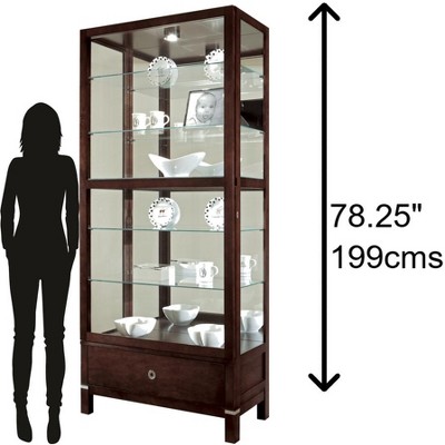 Espresso Traditional Lighted Curio Cabinet with Mirrored Back