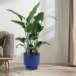 GDFStudio Petra Modern Vira Patio Ceramic Flowerpot (Set of 3) - 1 of 4