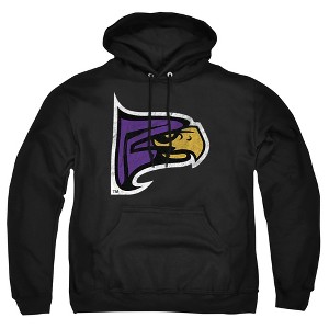 Men's Hunter College Distressed Primary Logo Pull-Over Hoodie - 1 of 4
