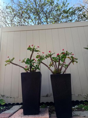 Guest review image 1 of 4, zoom in