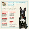 Country Brook Petz Deluxe Dairy Cow Dog Collar - Made in the U.S.A. (3/4 Inch, Small) - 2 of 4