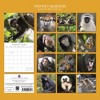 2026 Square Wall Calendar, Monkeys in Natural Habitat, 16-Month Animals Theme with 180 Reminder Stickers (12x12 In) - 4 of 4