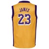 NBA Los Angeles Lakers Toddler James Jersey - 3 of 3