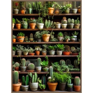 Amanti Art Assorted Succulents 2 by Justyna Jaszke Canvas Wall Art Print Framed - 1 of 4