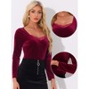 Allegra K Women's Velvet Contrast Lace V Neck Long Sleeve Elegant Top - 2 of 4