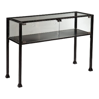 SEI Furniture Rectangular Distressed Slim Modern Style 2 Door Metal Terrarium Display Media Console Accent Table with Glass Cabinet Doors, Black