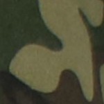 woodland camo