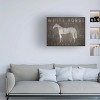 Trademark Fine Art - Ryan Fowler 'White Horse With Words' Canvas Art - 2 of 4