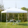 Outsunny 10' x 10' Heavy Duty Pop Up Canopy with Removable Mesh Sidewall Netting, Easy Setup Design, Outdoor Party Event with Storage Bag - image 3 of 4
