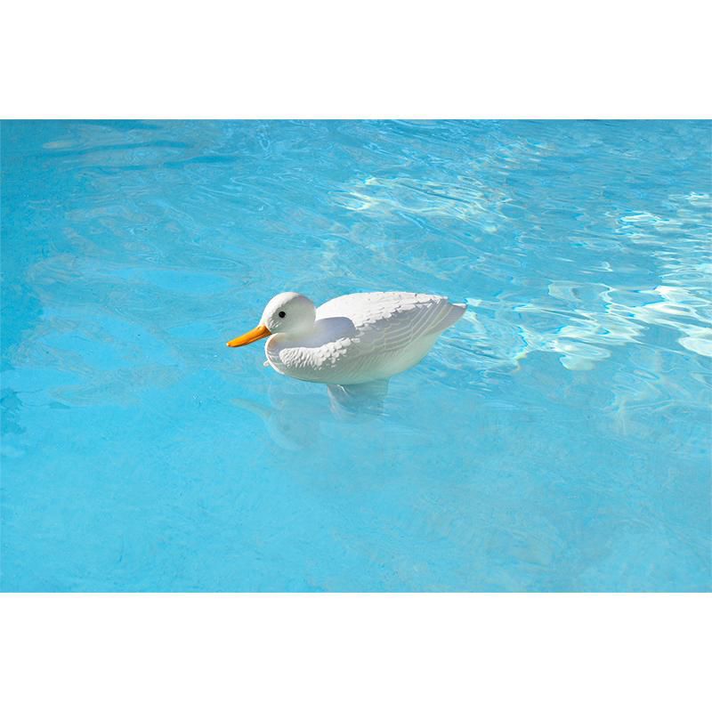 Swim Central 16" White Duck Floating Swimming Pool Chlorine Dispenser, 2 of 3