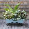 ACHLA Designs With Odette Stand Rectangular Steel Planter Boxes - 4 of 4