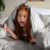 Inhand Goose Feather Down Fiber Comforter - 100% Cotton Duvet Insert - Hotel Luxury Hypoallergenic Bedding Comforter All Season - 4 of 4