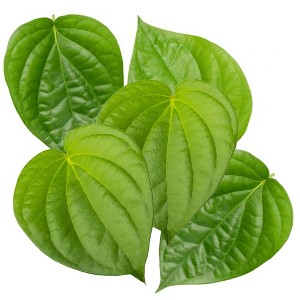 Rani Brand Authentic Indian Foods | Fresh Leaves - 1 of 1
