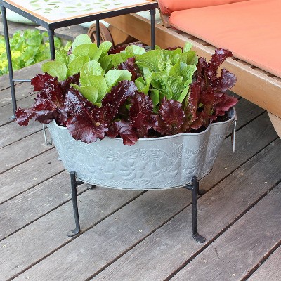 20" Galvanized Steel Embossed Oval Tub with Folding Stand
