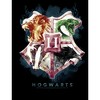 Men's Harry Potter Hogwarts Watercolor Symbols Pull Over Hoodie - 2 of 4