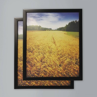 (Set of 2) 16" x 20" Poster Frame Black - Room Essentials™