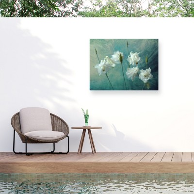 Trademark Fine Art - Mike Kreiten  Crowns Of Thorns Matted Framed Art