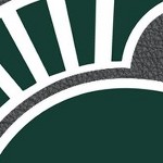 michigan state spartans