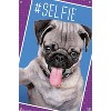 Trends International Keith Kimberlin - Kittens - Pug - Selfie Unframed Wall Poster Prints - 4 of 4