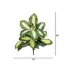 Nearly Natural 20-in Artificial Golden Dieffenbachia Plant - Set of 6 - 2 of 4
