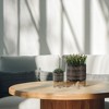 Syemin Planters Glazed Planter with Stand , Decorative Plant Pots for Living Room, Garden, Balcony, Home Decor, Black 12"*12"*16" - 3 of 4