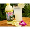 Nellie & Joes Famous Key West Lemon & Lime Juice 16oz (1 each) - 2 of 3